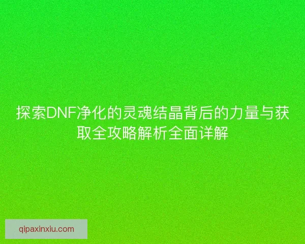 探索DNF净化的灵魂结晶背后的力量与获取全攻略解析全面详解